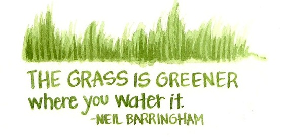 the-grass-is-always-greener